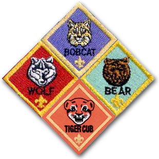 Cub Scouts in West Houston